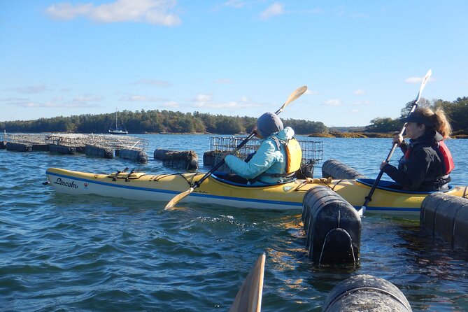 Oyster Farm & Complimentary Tasting Sea Kayak Tour in Casco Bay - Value for $99: a small-group morning that’s more than a boat ride
