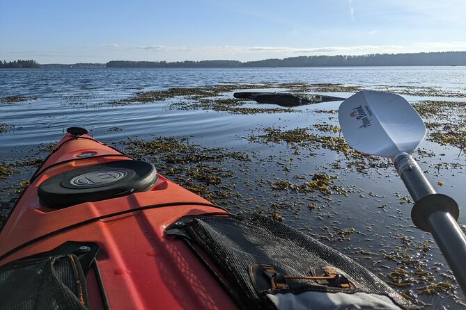 Oyster Tasting and Kayak Tour - Paddling about a mile along the rocky shore (Little Bay)