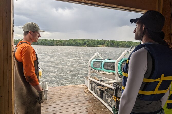 Oyster Tasting and Kayak Tour - The return kayak: wildlife spotting plus local context