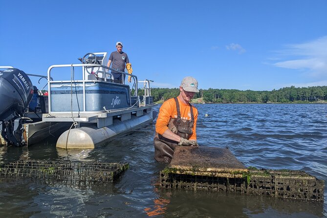 Oyster Tasting and Kayak Tour - Price and value: is $85 worth it for 2 hours?