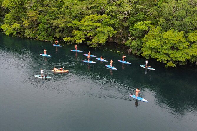 Paddle at Dawn with visit to Cenotes and Islands - Quick highlights