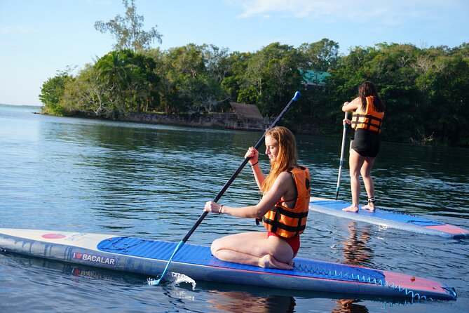 Paddle at Dawn with visit to Cenotes and Islands - Paddleboard vs kayak: choose comfort and stability