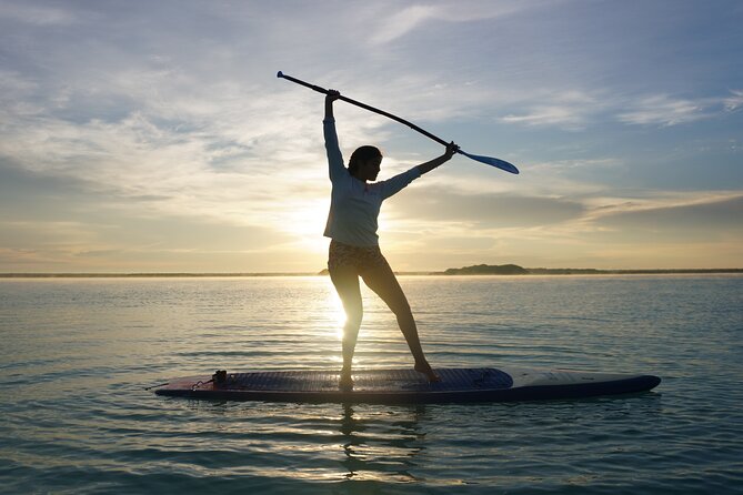 Paddle at Dawn with visit to Cenotes and Islands - The channel paddle and your first swimming point