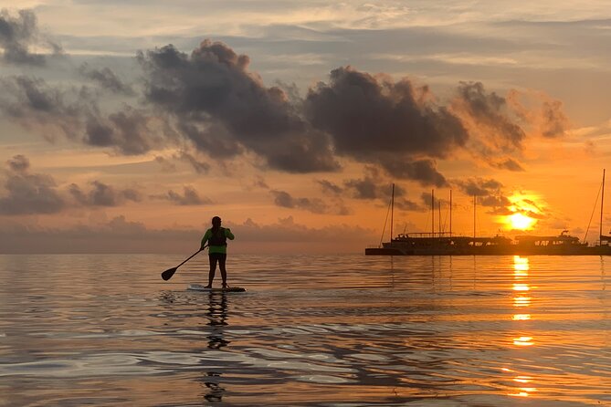 Paddle Board at Sunrise or Sunset in Cancun - Should you book Paddle Board at Sunrise or Sunset in Cancun?