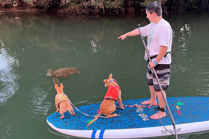 Paddle Board North Shore with Rescue Dogs - The beach return: shower time, stories, and a group photo