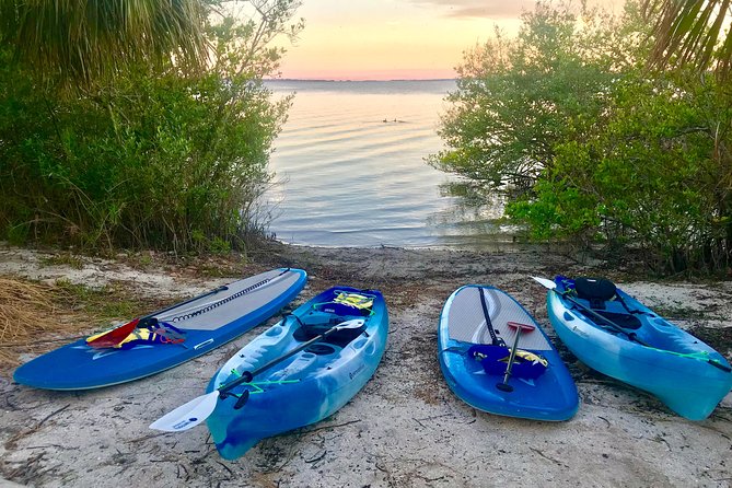 Paddle Board or Kayak Eco Dolphin Manatee Tour - Why the Banana River Aquatic Preserve is ideal for a first paddle