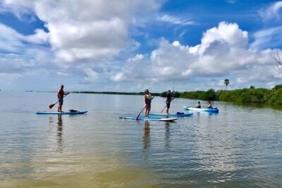 Paddle Board or Kayak Eco Dolphin Manatee Tour - Paddleboard vs kayak: the instruction that makes it feel doable