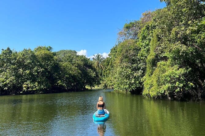 Paddle Boarding and Meditation Wellness Experience in Las Isletas - Stretching, tea, and a full-body workout that still feels calm
