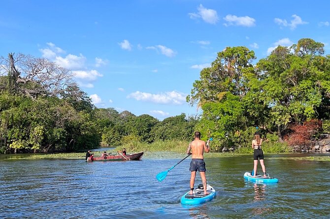 Paddle Boarding and Meditation Wellness Experience in Las Isletas - Diana’s coaching: learning SUP without feeling clumsy forever