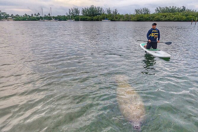 Paddle Boarding Eco Adventure Tour Jupiter Florida - Singer Island - The ride-by stops: what each named spot adds to the tour pace