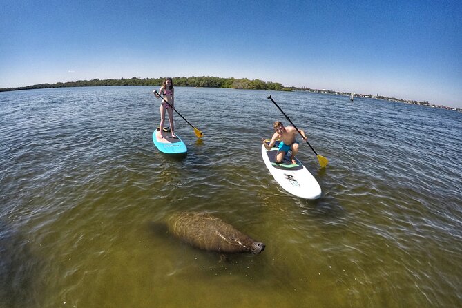 Paddle Boarding Eco Adventure Tour Jupiter Florida - Singer Island - What you’re really paying for at $77 per person