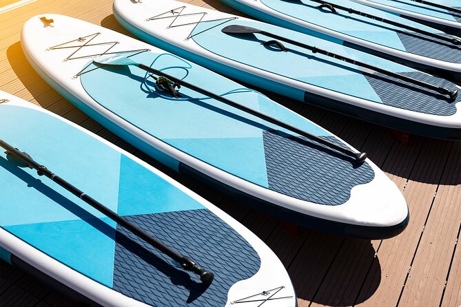 Paddle Boarding Lesson in Torrevieja - Gear check and fitting: how they set you up to succeed