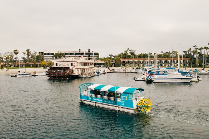 Paddle Pub San Diego Party Cruise: Drinks & Dancing for up to 26 - Key Things to Know Before You Go