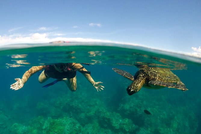 Paddle, Snorkel and Learn to Surf: All in a Day on Maui - Key things I’d circle before you book