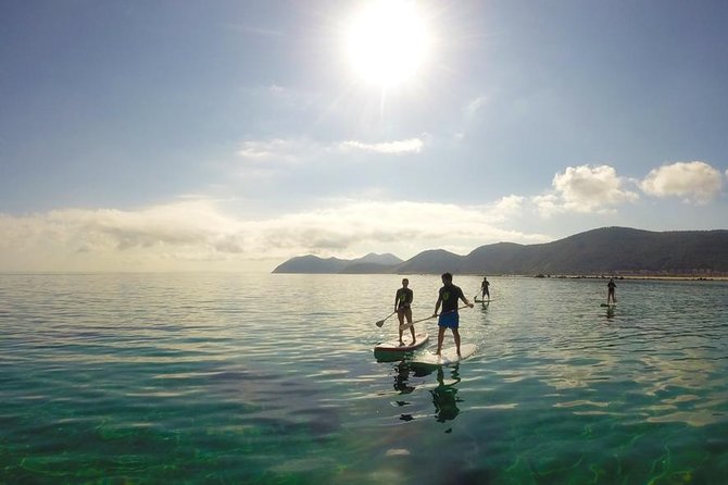 Paddle Surf in Cantabria - Paddle Surf in Noja: Why This Feels Like a Real Lesson