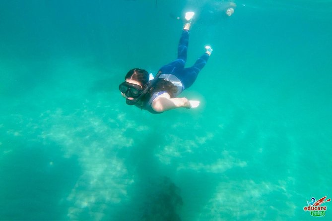 Paddle Surf Route Cliffs Nerja and Cascada de Maro + Snorkel - Playa Caleta de Maro and the Maro waterfalls: the snorkeling payoff