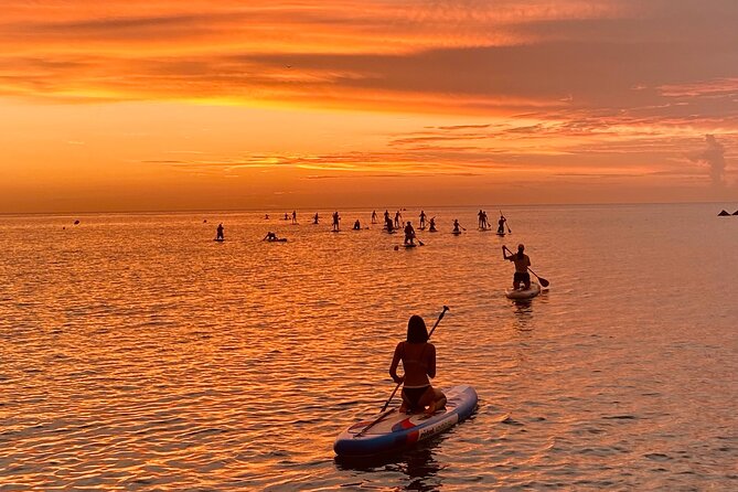 Paddle Surfing in Barcelona - Price and value: $23.97 for an hour plus facilities