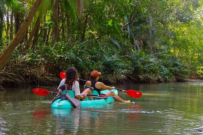 Paddle Through Paradise: Mangrove Kayak Adventure - Entering the Nacarcosta Mangroves (Quepos’s Calm Water Zone)