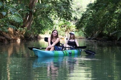 Paddle Through Paradise: Mangrove Kayak Adventure - Wildlife You Might Actually See (and How the Guides Help)