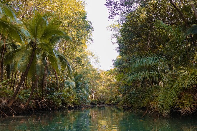 Paddle Through Paradise: Mangrove Kayak Adventure - Price and Value: Is $55.20 Worth Two Hours?