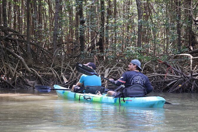 Paddle Through Paradise: Mangrove Kayak Adventure - Who Should Book This Kayak Adventure (and Who Might Want Another Option)