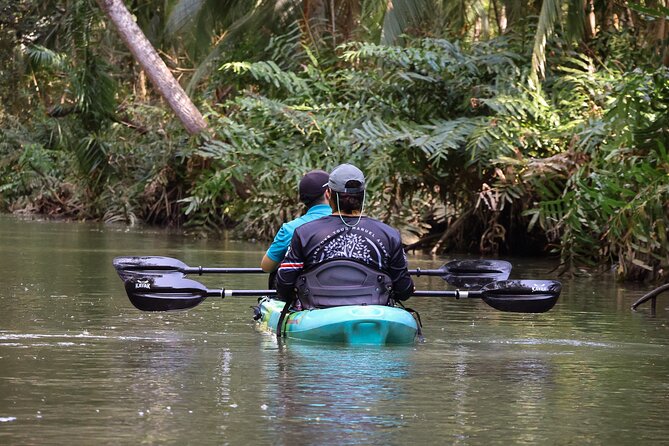 Paddle Through Paradise: Mangrove Kayak Adventure - Final Call: Should You Book Paddle Through Paradise?