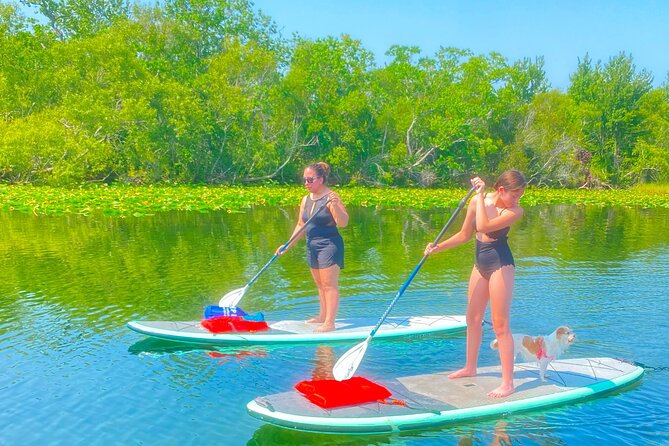 Paddle with Pups in Paradise - Paddleboard or Kayak - Paddling With Your Dog on Lake Ivanhoe (Orlando’s Gator-Free Lake)