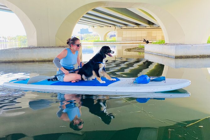 Paddle with Pups in Paradise - Paddleboard or Kayak - Gear, Paddling Options, and What You Actually Get Included