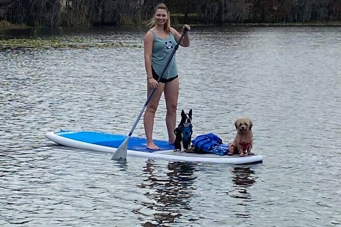 Paddle with Pups in Paradise - Paddleboard or Kayak - The Guide Factor: Names You Can Feel Good About