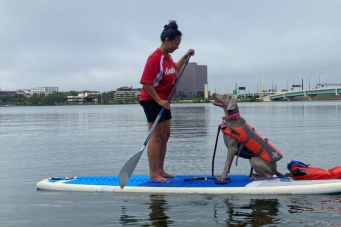 Paddle with Pups in Paradise - Paddleboard or Kayak - What the Paddle Time Feels Like With Dogs on Board