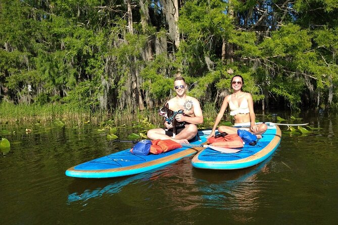 Paddle with Pups in Paradise - Paddleboard or Kayak - Price and Value: Is $65 Worth It?