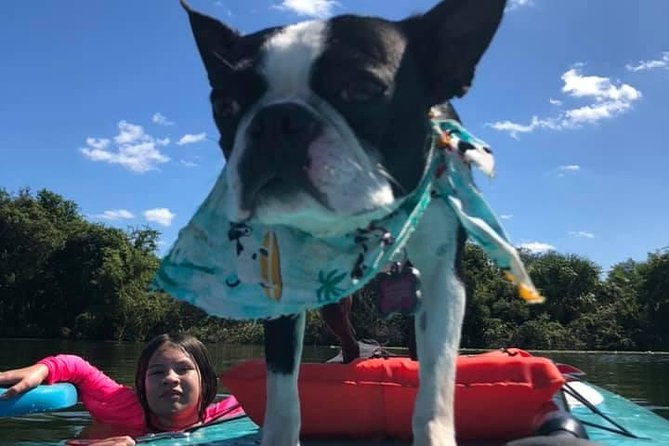 Paddle with Pups in Paradise - Paddleboard or Kayak - Weather, Timing, and Small-Group Comfort