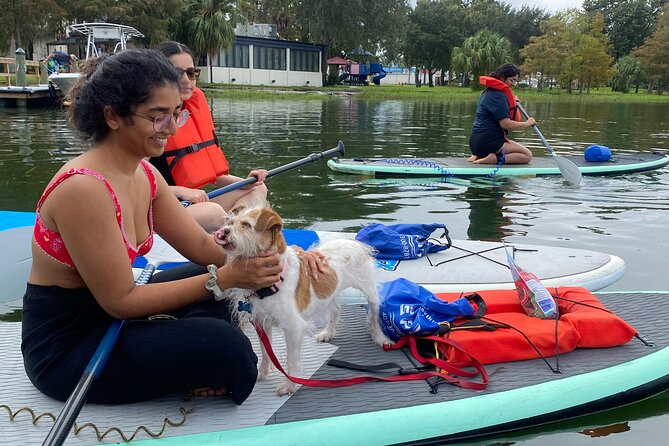 Paddle with Pups in Paradise - Paddleboard or Kayak - The 2-Hour Lesson: How You’ll Actually Learn to Paddle