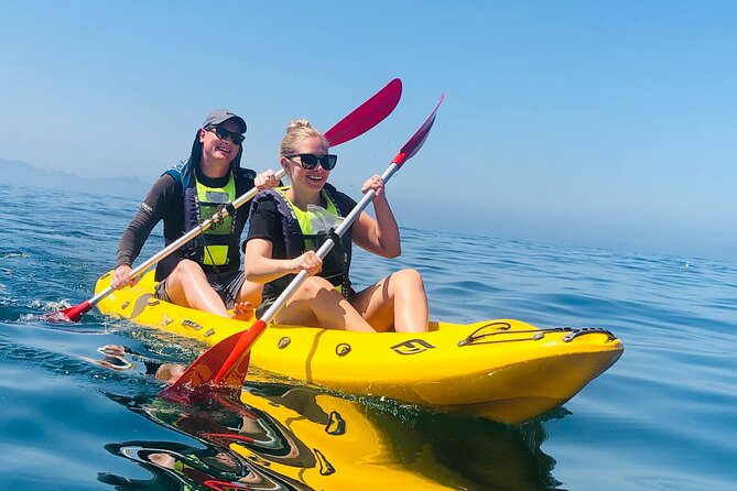 Paddle with the Penguins - Sea kayak with African penguins: the real value
