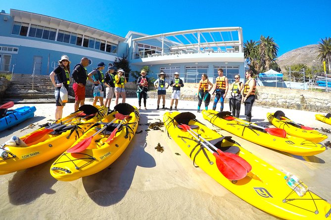 Paddle with the Penguins - The safety briefing that makes beginners comfortable