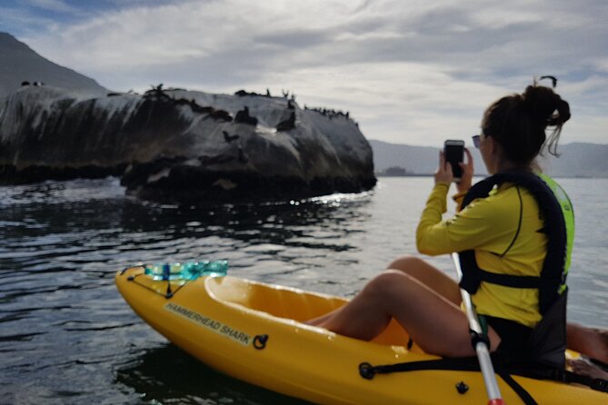 Paddle with the Penguins - Kayaks and pacing: single vs double seat