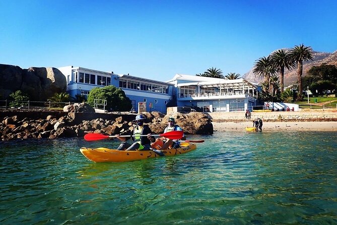 Paddle with the Penguins - The coastline workout (without making it a fitness test)