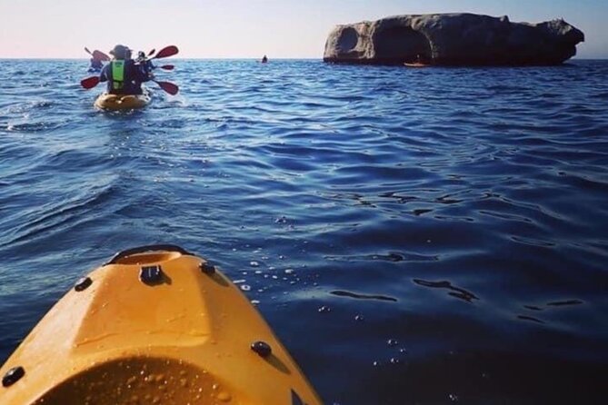 Paddle with the Penguins - What’s included (and the stuff you’ll want to pack yourself)