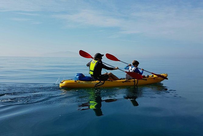 Paddle with the Penguins - Weather matters: when wind changes the plan