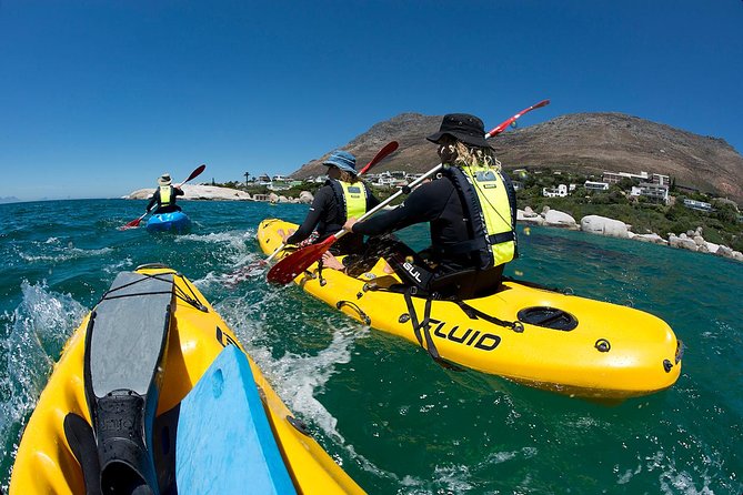 Paddle with the Penguins - Where you start on Seaforth Beach (and why it’s practical)