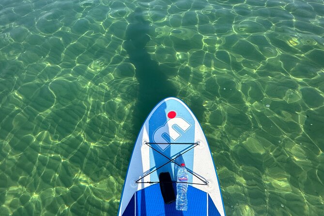 Paddle with us in Golf Hammamet - Key Things I’d Watch Before You Go