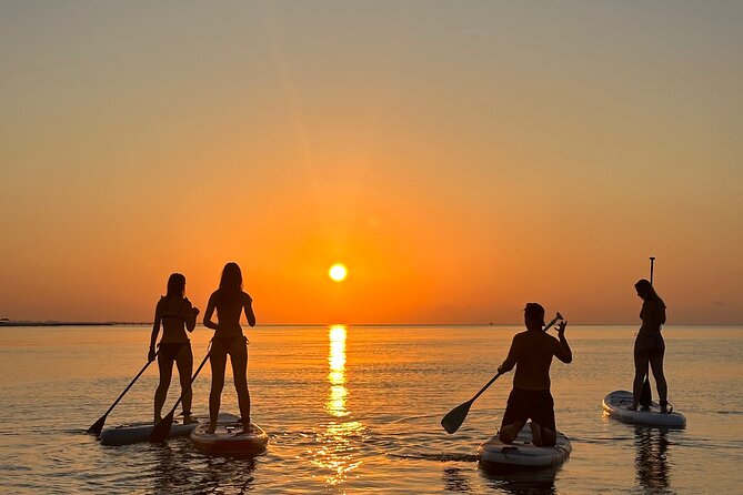 Paddle with us in Golf Hammamet - Pickup, Meeting Your Instructors, and Getting Ready Fast