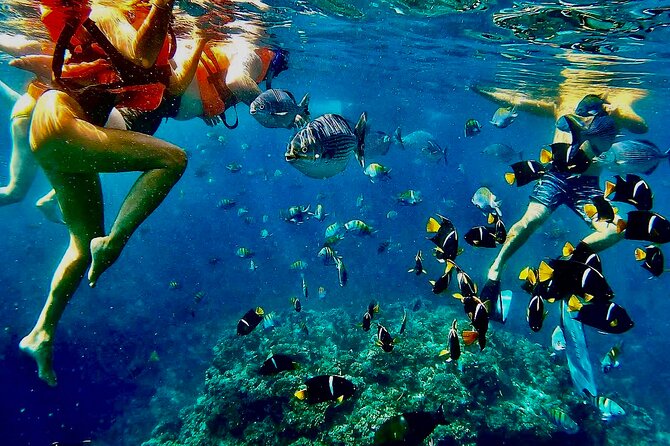 Paddleboard and Snorkeling Experience in Los Arcos - The 20-minute ride to Mismaloya: why the route matters