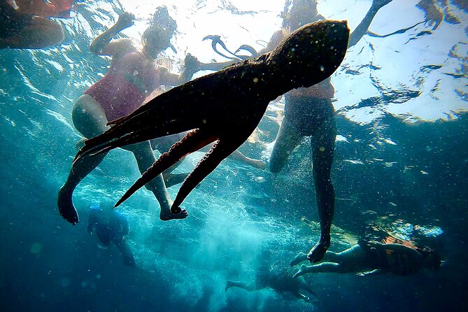 Paddleboard and Snorkeling Experience in Los Arcos - Paddleboard to Los Arcos: your first real look at the marine park