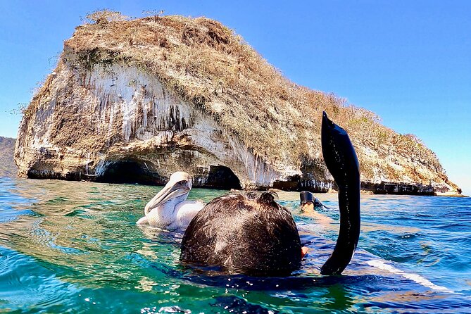 Paddleboard and Snorkeling Experience in Los Arcos - The return paddle: finish strong and keep it fun