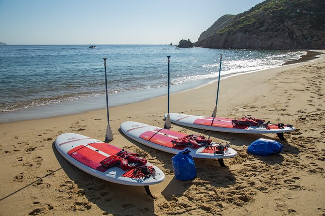 Paddleboard Expedition to the Arch of Cabo San Lucas, Lovers Beach & Snorkel - Safety, Waves, and Listening to Your Guide