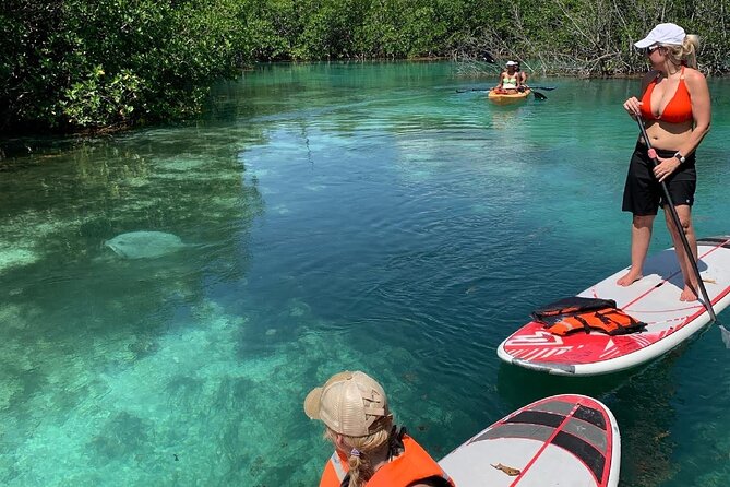 Paddleboard Kayak Tour in Cancun - SUP or kayak: picking the ride that matches your energy