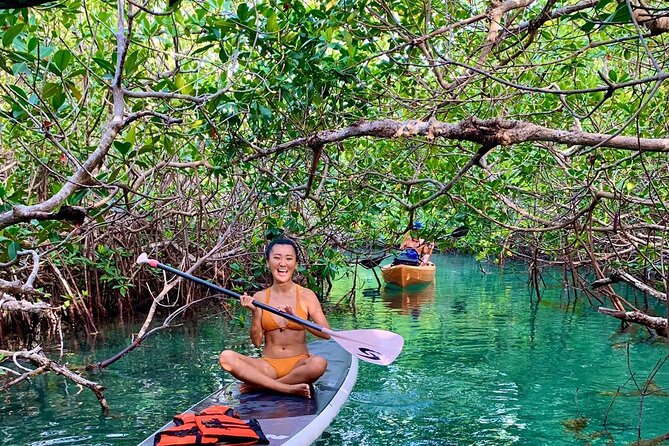 Paddleboard Kayak Tour in Cancun - Stop 1 on Laguna Nichupté: mangrove tunnels and wildlife time