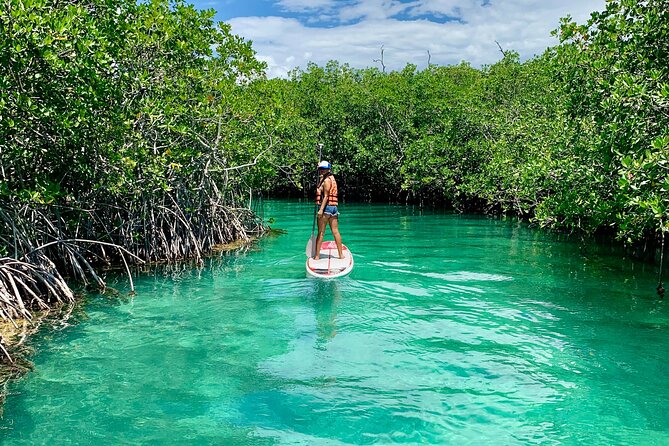 Paddleboard Kayak Tour in Cancun - How the two-hour format feels in real life
