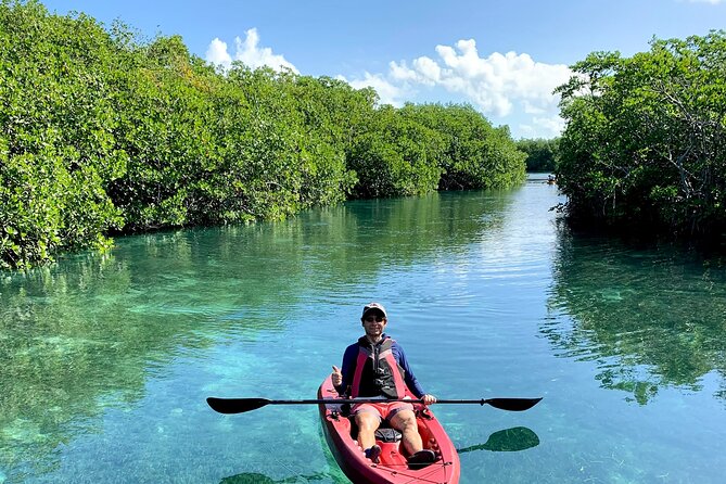 Paddleboard Kayak Tour in Cancun - Photos and videos: the “future you” benefit